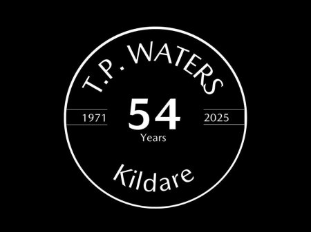 2017 Mazda Mazda2 DEMIO 1.3 AUTOMATIC - HEATED SEATS - LED LIGHTS - ALLOY WHEELS - REVERSING CAMERA €13,695