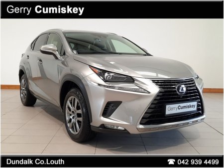 2019 Lexus NX 300 h 300H Executive