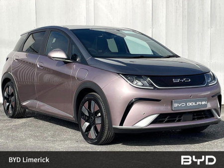 2025 BYD Dolphin 