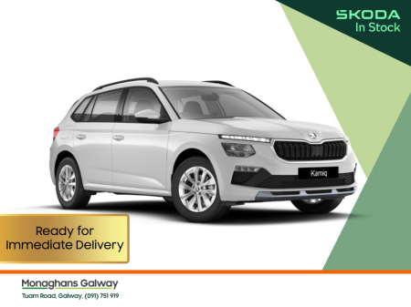 2025 Skoda Kamiq Selection 1,0 TSI 116 hp In Stock €32,820