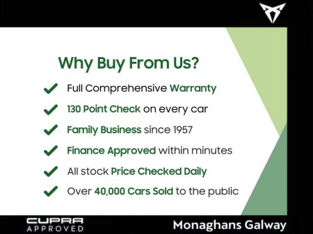 2025 Cupra Tavascan ENDURANCE 286HP 4 €42,950