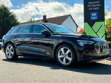 2022 Audi e-tron TECHNIK 50 QUATTRO €30,995