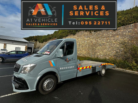 2017 Mercedes-Benz 1800 Series SPRINTER 516 CDI 2DR