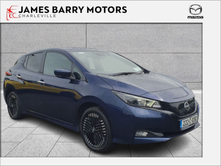 2022 Nissan Leaf Leaf SV 62 kWh 350kms Range €19,995