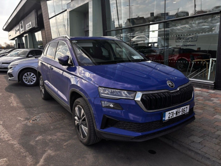 2023 Skoda Karoq 2.0TDI AMB DSG *FULL LEATHER* €80 P/W 3YRS €35,995