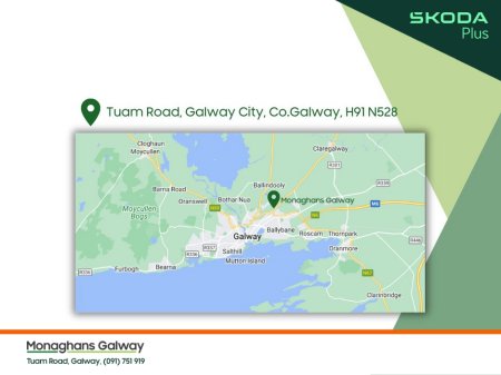 2022 Skoda Octavia RS COMBI 2.0 TDI 200BHP AUTO €41,950