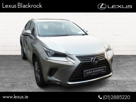 2018 Lexus NX 300 h Hybrid Luxury