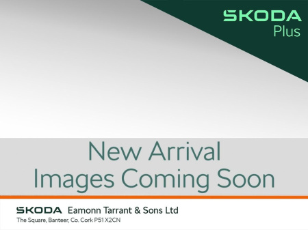 2021 Skoda Kodiaq 2.0 TDI 150HP DSG Style 7 Seat